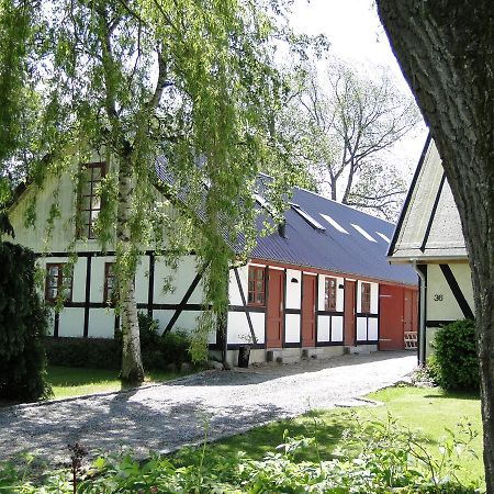 Dyssegaard B&B Skallerup Ngoại thất bức ảnh